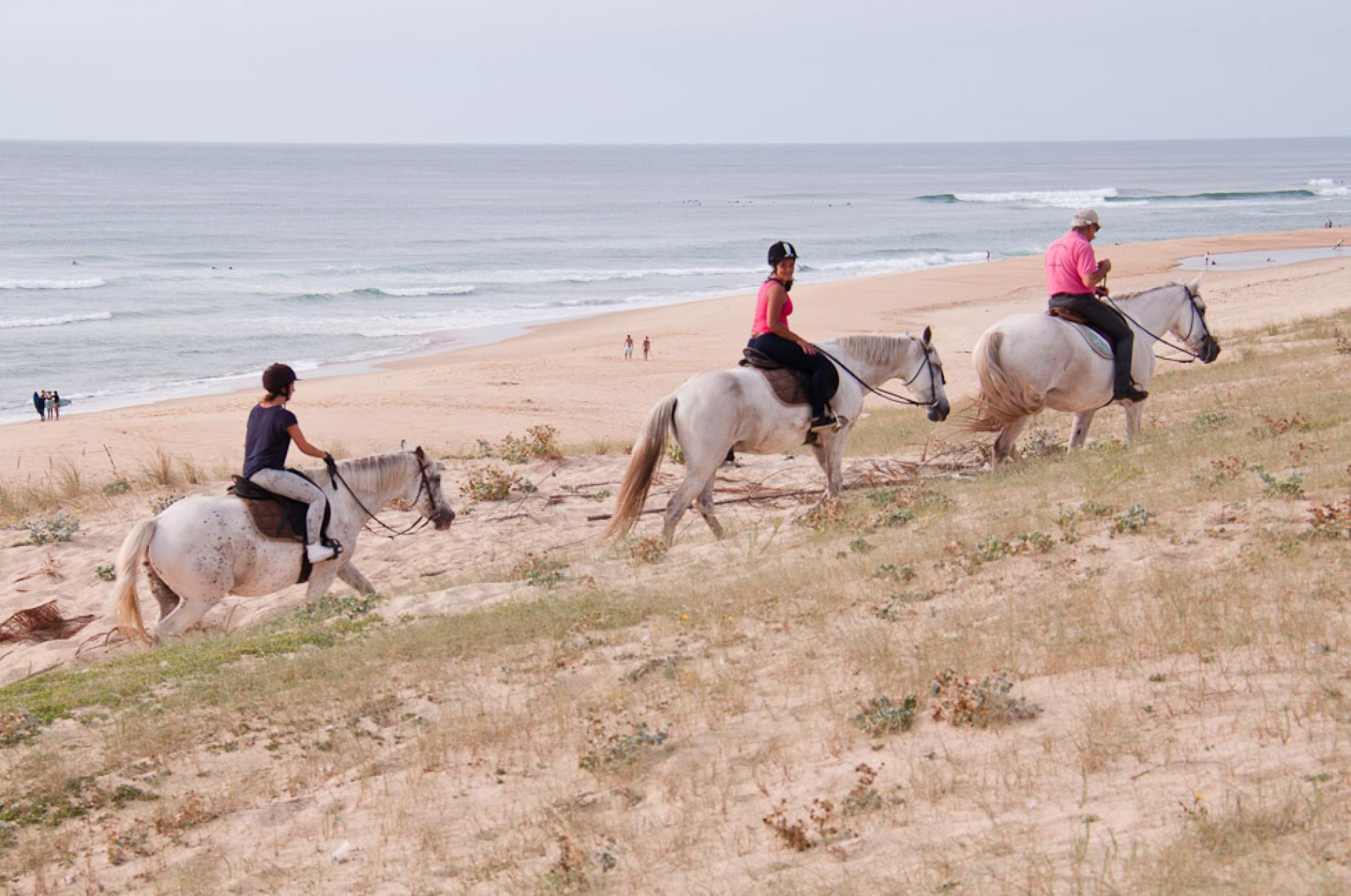 Balades à cheval dans les Landes