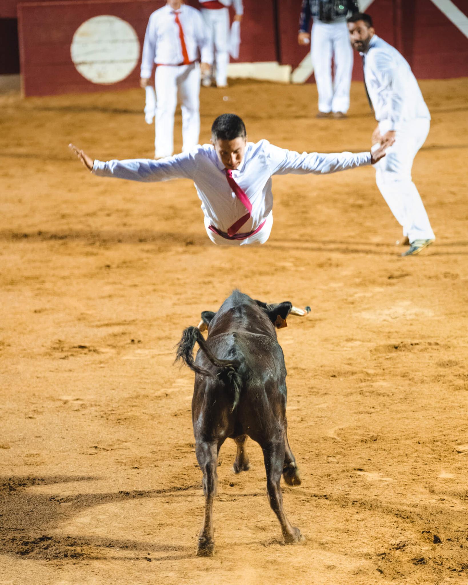 Culture et traditions dans les Landes