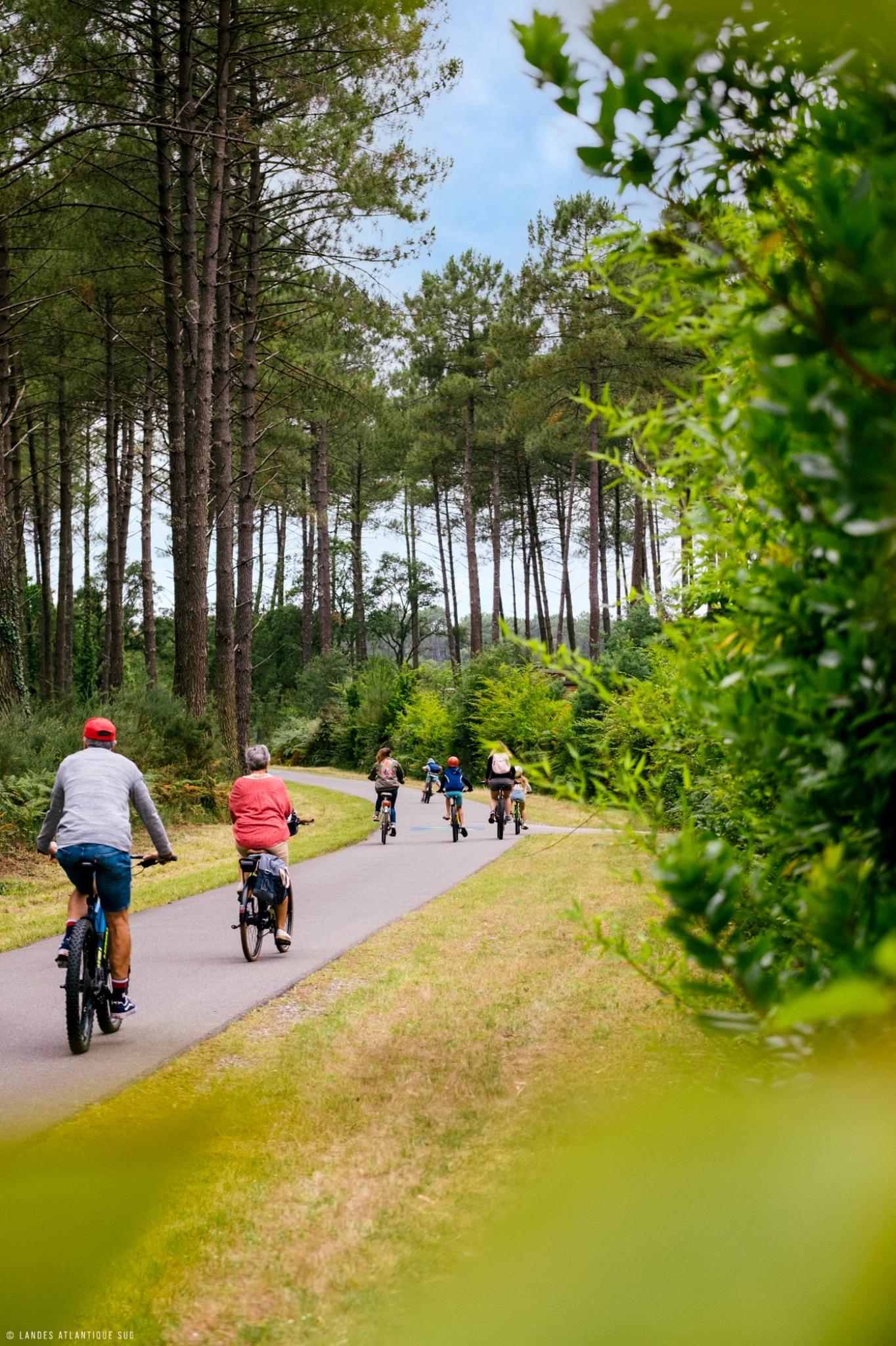 Le vélo dans les Landes