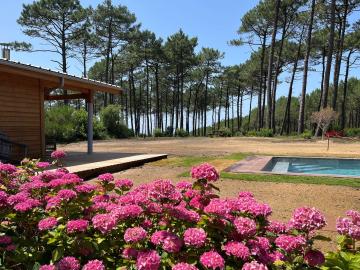 Holiday rental in house (with pool) 8 persons MOLIETS ET MAA (40)