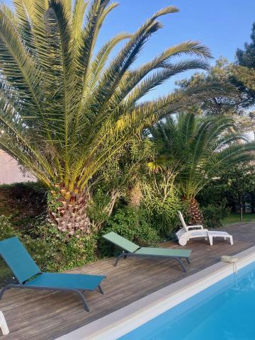 Holiday rental in house (with pool) 8 persons MOLIETS ET MAA (40)