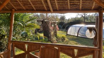Holiday rental in house (with pool) 6 persons LEON (40)