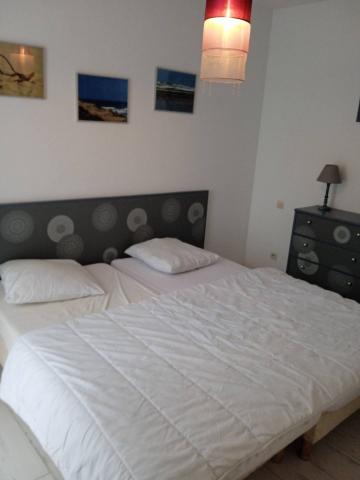Holiday rental in apartment (with pool) 6 persons MOLIETS ET MAA (40)