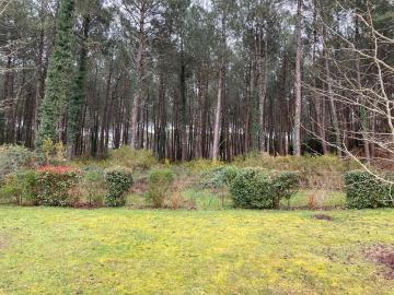 Holiday rental in apartment  6 persons VIELLE SAINT GIRONS (40)