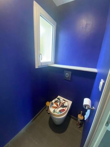 Holiday rental in house (with pool) 6 persons VIELLE-SAINT-GIRONS (40)