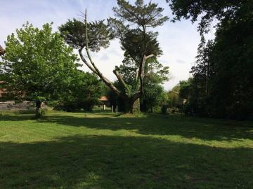 Location de vacances en maison  6 personnes à LIT ET MIXE (40)