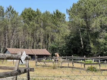 Location de vacances en maison  4 personnes à LEON (40)